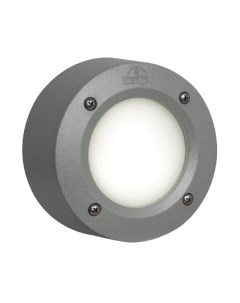 Светильник уличный Fumagalli Leti 2S1.000.000.LYG1L