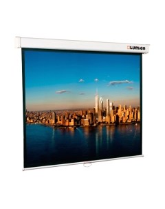 Проекционный экран Lumien Master Picture 203x300 / LMP-100118