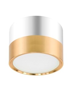 Точечный светильник ЭРА OL7 GX53 GD/CH / Б0048532 Эра