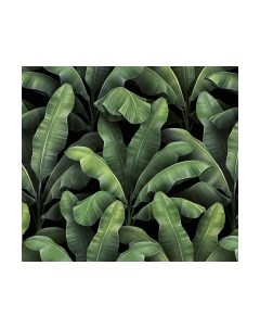 Фотообои листовые Vimala Листья патерн