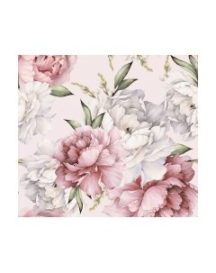 Фотообои листовые Vimala Настенные цветы 13