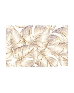 Фотообои листовые Vimala Векторные листья 12