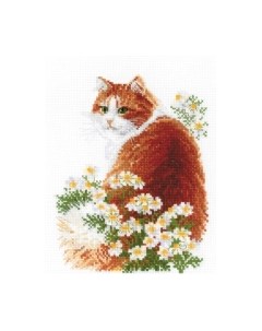 Набор для вышивания Рыжий Мяу / 2110 Риолис