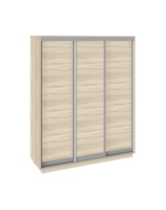 Шкаф-купе Румер СШК 1.180.60-11.11.11 3-х дверный Трия