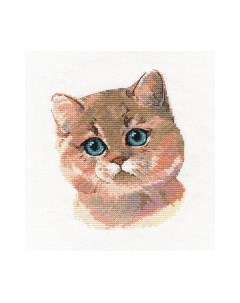 Набор для вышивания Британская короткошерстная / 1326В Овен