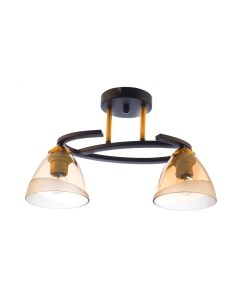 Потолочный светильник Aitin-Pro C1226/2 Aitin-pro