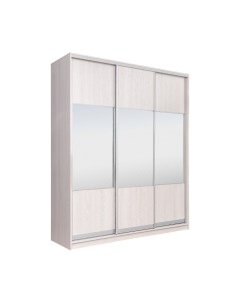 Шкаф-купе Рэйгрупп 233450 YYX Elgon РГ-01.01