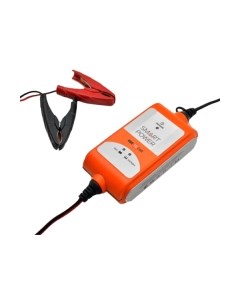 Зарядное устройство для аккумулятора Беркут Smart Power SP-2N