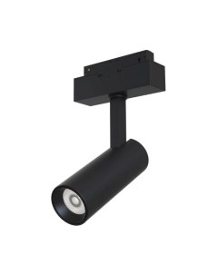 Трековый светильник Maytoni TR019-2-10W4K-B