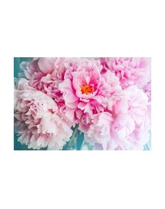 Фотообои листовые Vimala Розовые пионы