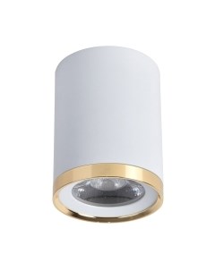 Потолочный светильник FAVOURITE 3085-1C Favourite