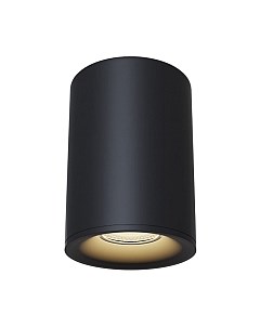 Потолочный светильник Maytoni Alfa C012CL-01B