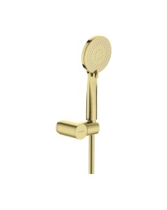 Душевой гарнитур Deante Arnika Gold BR NQA_R41K