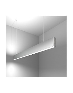 Потолочный светильник Elektrostandard 101-200-40-103 40W 6500K