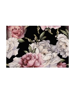 Фотообои листовые Vimala Настенные цветы 16