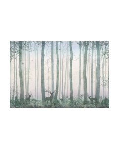 Фотообои листовые Vimala Олени в лесу