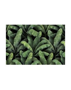 Фотообои листовые Vimala Листья патерн