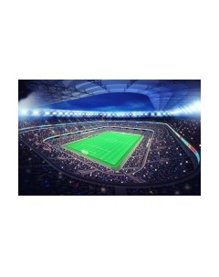 Фотообои листовые Citydecor Стадион 2