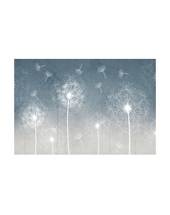 Фотообои листовые Vimala Одуванчики на голубом фоне