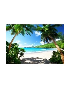 Фотообои листовые Arthata Fotooboi-19