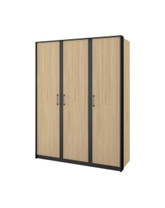 Шкаф Мебель-Неман Стенли МН-037-03 Мебель-неман