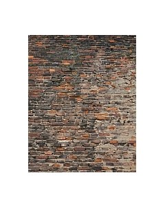 Фотообои листовые Citydecor Кирпичи 3D