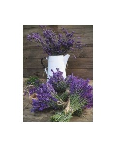 Картина Stamion Лавандовый натюрморт