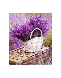 Картина Stamion Корзина цветов