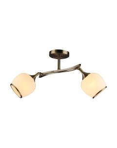 Потолочный светильник Mirastyle SX-N-6098/2 AB