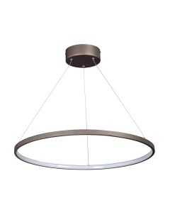 Потолочный светильник V04601-93/1S Vitaluce