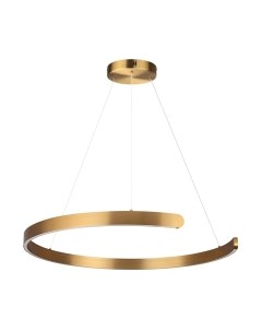 Потолочный светильник Lumion Indie 6535/57L