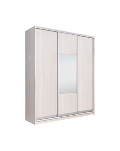 Шкаф-купе Рэйгрупп 176 YYX Elgon РГ-03.05