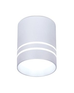 Точечный светильник Ambrella TN241 SL/S