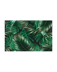 Фотообои листовые Citydecor Тропики