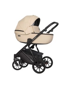 Детская универсальная коляска Riko Montana Ecco 2 в 1