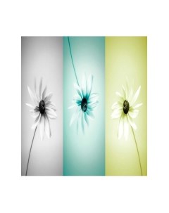 Скатерть JoyArty Монохромные ромашки / tcox_29238 Joyarty