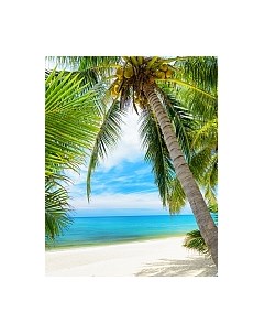 Фотообои листовые Citydecor Вид на море