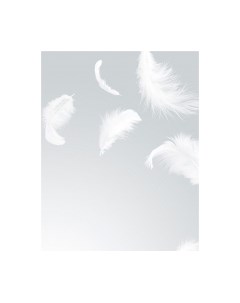 Фотообои листовые Citydecor Перышки