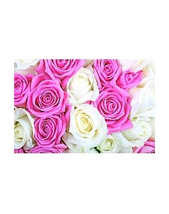 Фотообои листовые Citydecor Букет роз 2