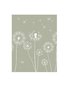 Фотообои листовые Citydecor Одуванчик