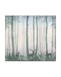 Фотообои листовые Vimala Олени в лесу