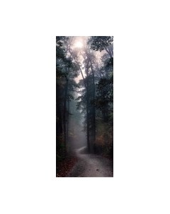 Картина на стекле Stamprint Лесная тропа NT026