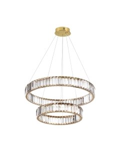 Потолочный светильник Odeon Light Vekia 5015/60L Odeon light