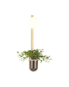 Бра Odeon Light Flower 4682/1WB Odeon light