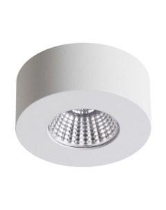 Потолочный светильник Odeon Light Bene 4282/7СL Odeon light