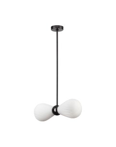 Потолочный светильник Odeon Light Elica 5418/2 Odeon light