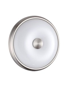 Потолочный светильник Odeon Light Pellow 4957/2 Odeon light