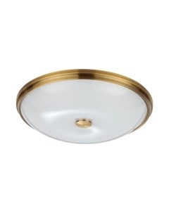 Потолочный светильник Odeon Light Pellow 4956/5 Odeon light