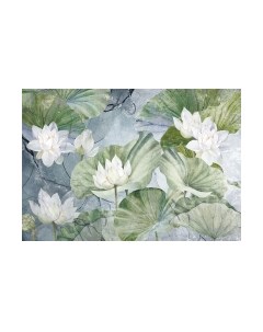 Фотообои листовые Citydecor Blossom 26