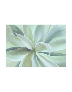 Фотообои листовые Citydecor Sunset 43